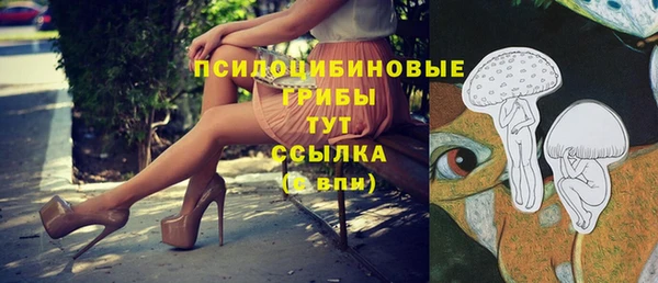 крисы Кинешма